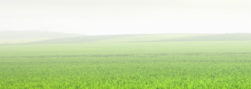 創(chuàng)意設(shè)計(jì)